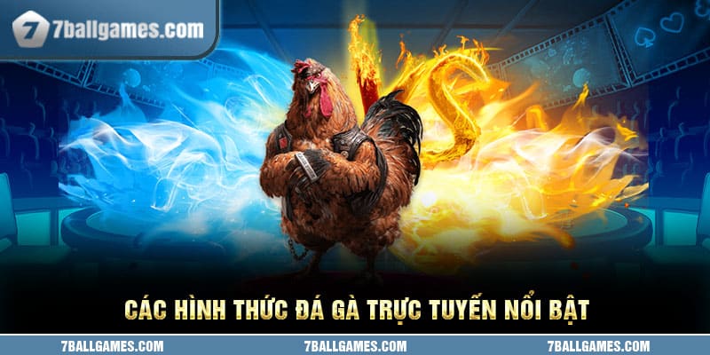 Các hình thức đá gà trực tuyến nổi bật