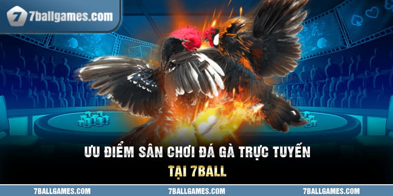 Ưu điểm sân chơi đá gà trực tuyến tại 7ball