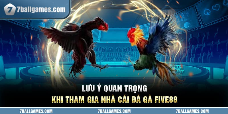 Lưu ý quan trọng khi tham gia nhà cái đá gà Five88